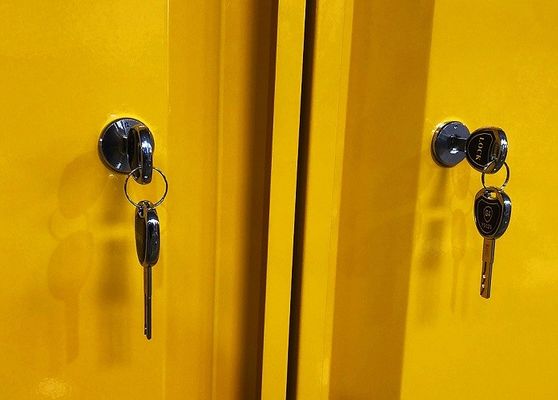 kupować Szafa do przechowywania chemikaliów o rozmiarach 109x46x123CM, 109x46x165CM i 109x86x165CM do przechowywania materiałów niebezpiecznych produkcja online